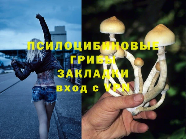spice Абдулино