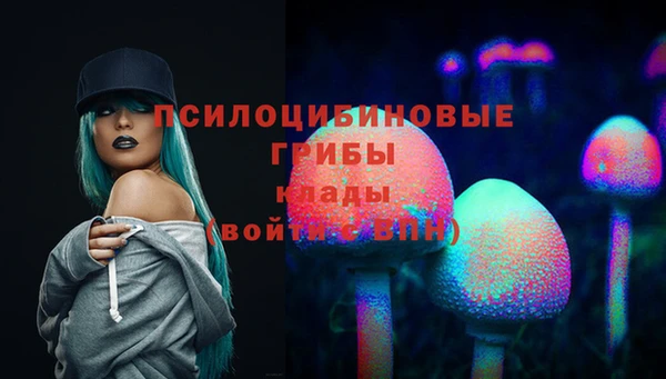 spice Абдулино