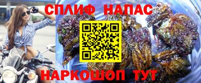spice Вязьма